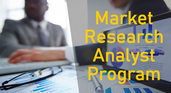 Market Research Analyst Program